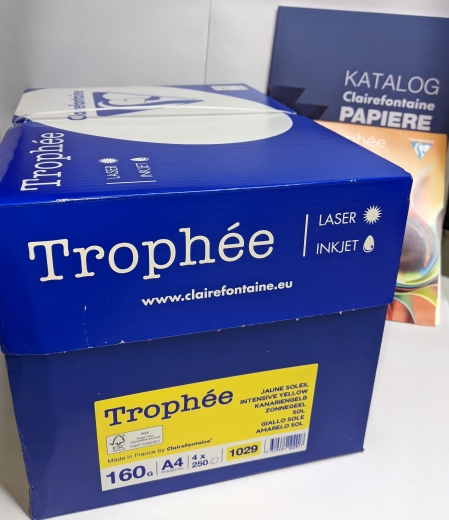 Kanariengelb, Papier, A4, 160 g/qm, 1000 (4*250), holzfrei, Trophée, fuer Copy+InkJet+Laser+Offset, Basteln, Drucken, Kopieren, Kreativ, FSC-Zertifikat, 1029C-K, 3329684102907