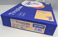 Aprikose, Papier, A4, 160 g/qm, 250 Blatt, holzfrei, Trophée, fuer Copy+InkJet+Laser+Offset, Basteln, Drucken, Kopieren, Kreativ, FSC-Zertifikat, 1011PC, 3329680002300