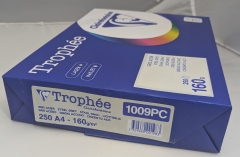 Stahlgrau, Papier, A4, 160 g/qm, 250 Blatt, holzfrei, Trophée, fuer Copy+InkJet+Laser+Offset, Basteln, Drucken, Kopieren, Kreativ, FSC-Zertifikat, 1009PC, 3329680001983